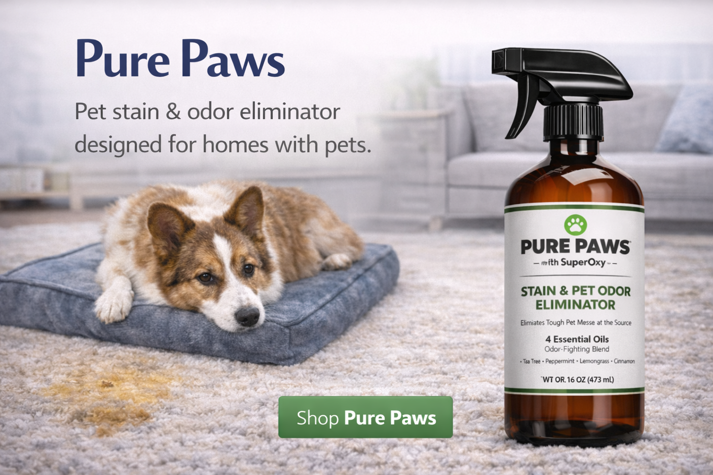 Pure Paws Pet Odor and Stain Eliminator